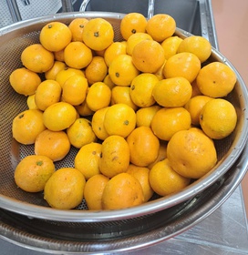 きれいなオレンジ色をした甘いみかんでした。