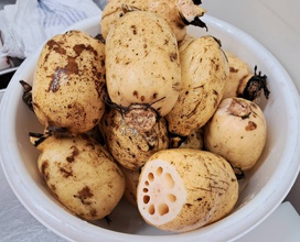 色が白くてきれいなれんこんでした。