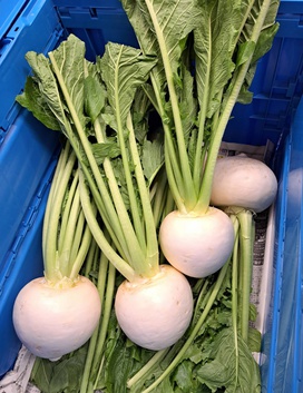 スープに入れたかぶです。立派な葉っぱも小さく刻んで入れました。