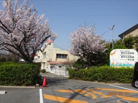 ３月下旬から桜の蕾もほころんで、４月２日（月）の入園式は、満開で新入園児さんをお迎えしました。