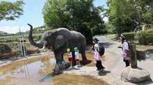 	
今時めずらしい手押しポンプを素早く上下に動かすと…象の鼻から水のシャワーが！
