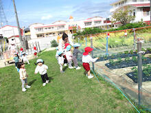 うめ組さんのつくし組さんの様子を観察⁈