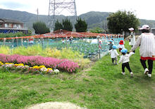 畑の先生が鳥などの動物からイチゴを守るためにネットを張ってくれました。